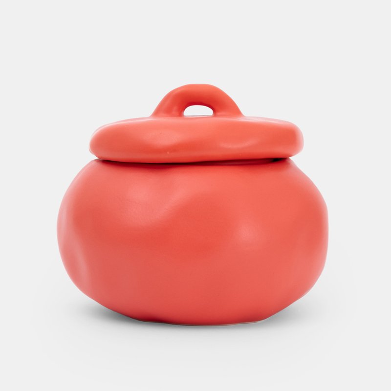 PLAY – FRED Tomate