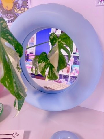 Le miroir Joyce dans l'entrée MYLO
