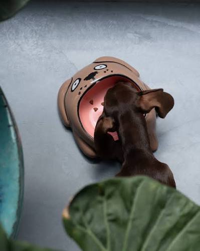 Un chien mange dans la gamelle pour chien x Jean Jullien chez MYLO